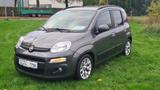 Fiat Panda Lounge*1.HD*Scheckh.*8fach Alu*Isofix*PDC* - Fiat Panda: Lounge