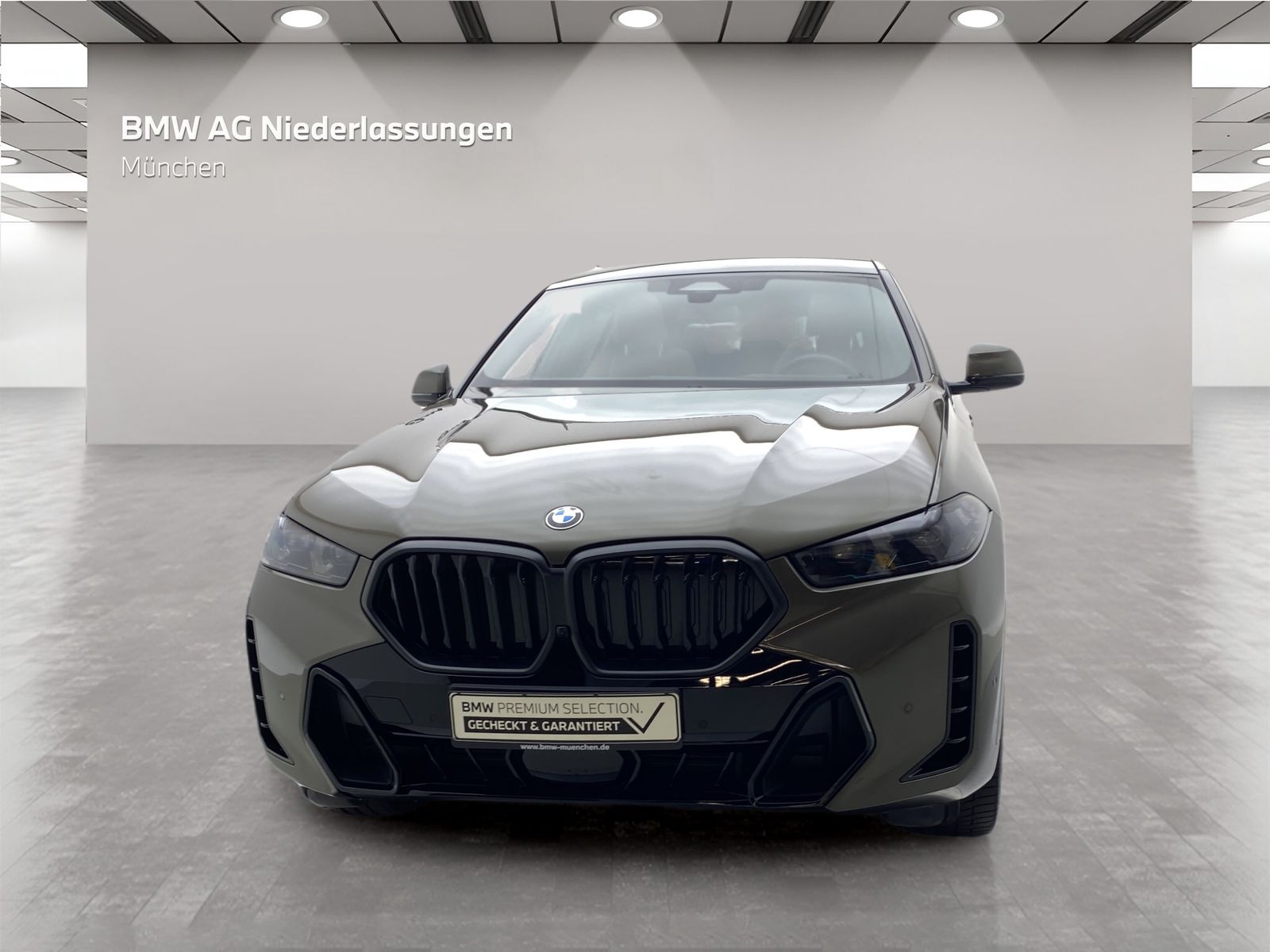 BMW X6 xDrive30d M Sport Standheizung AHK Harman K foto 4