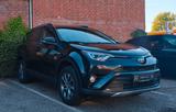 Toyota RAV4 Hybrid Service+TÜV  Neu+bis zu 5JGarantie - Toyota RAV 4 Gebrauchtwagen in Hamburg