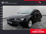 Toyota Corolla 1.2 Comfort KLIMA SHZ RÜCKFAHRKAMERA ACC - gebrauchte Toyota Corolla aus dem Jahr 2019