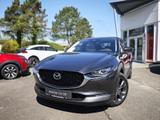 Mazda CX-30 2.0L e-SKYACTIV X 186ps FWD Takumi SUNR BL - Mazda CX-30 Takumi mit Hybrid-Antrieb (Benzin/Elektro)