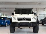 Mercedes-Benz G 500/ORC Umbau/Designo/Harman Kardon/Standheizu - Mercedes-Benz Gebrauchtwagen in Siegen