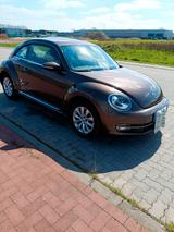 Volkswagen Beetle 1.2 TSI Design  - VW Beetle Gebrauchtwagen in Bremen