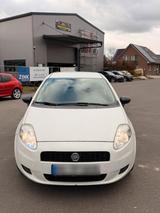 Fiat punto - Fiat Punto Gebrauchtwagen in Mannheim