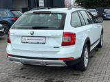 Skoda Octavia Scout 1.8 TSI DSG 4x4 NAV*SHZ*AHK - Skoda Octavia Scout mit Benzin-Antrieb