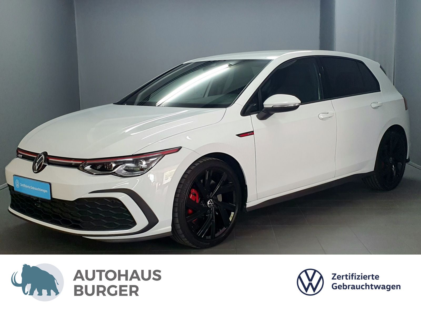 Volkswagen Golf VIII GTI 2.0TSI ACC Matrix Navi AppConnect foto 1