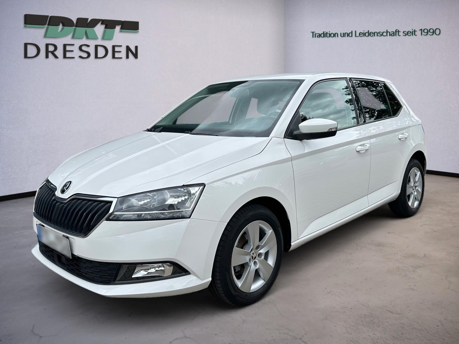 Skoda Fabia Ambition/AHK/Sitzh/CarPlay/Navi/Alu