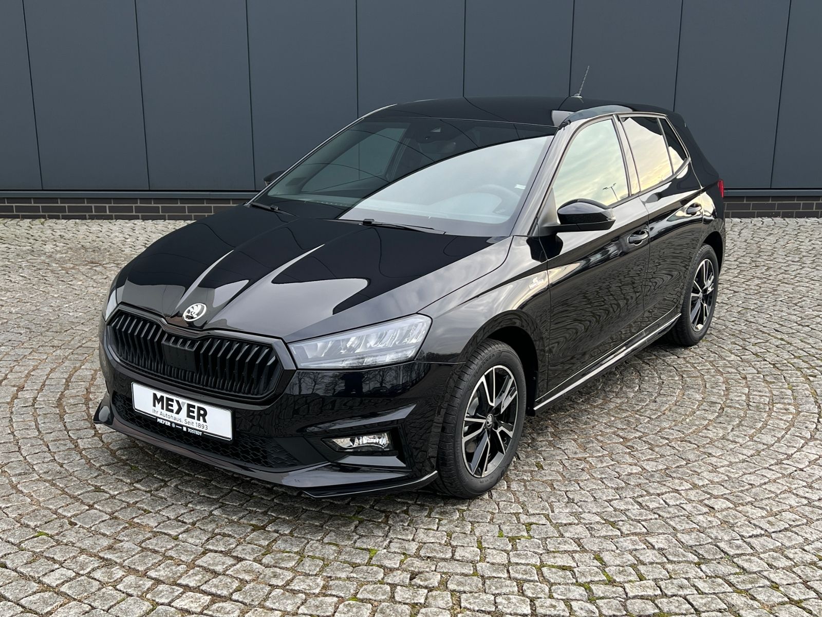 Fahrzeugabbildung SKODA Fabia Monte Carlo 1.0 TSI DSG *LED, ACC, SmartLi