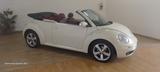Volkswagen New Beetle 1.9 TDI 105CV Cabrio Lim.  - Volkswagen New Beetle: Beige