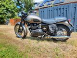 Triumph Bonneville - TRIUMPH BONN