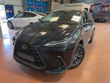 Lexus NX 350h Executive Line - Lexus aus 2024: Nx