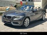 BMW 228 i Cabrio Luxury Line LEDER NAVI SPUR PDC - BMW 228 mit 3 Türen