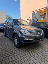 Ssangyong REXTON 4WD 7-Sitzer Leder - graue Ssangyong REXTON