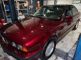 BMW 530i V8 1.Hand Rarität im Traumzustand - BMW 5er Reihe aus 1996