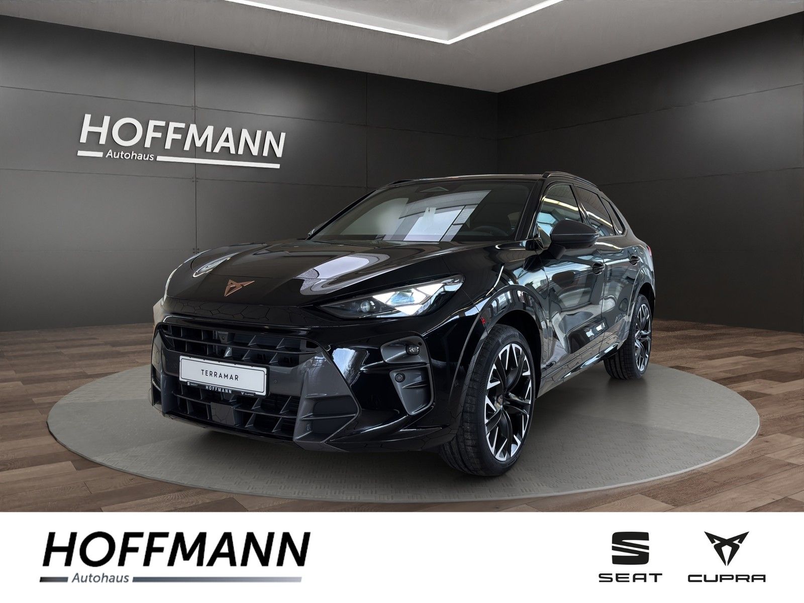 Fahrzeugbild von Cupra Terramar