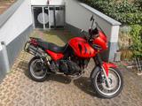 Triumph Tiger 955i - TRIUMPH TIGER 955I