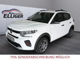 Citroën C3 ë 113 VAN (Laderaumerweiterung)