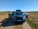 Subaru Forester 2.0ie EDITION SPORT40 Lineartronic ... - Subaru aus 2022