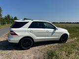 Mercedes-Benz ML 250 BlueTEC 4MATIC - - Mercedes-Benz ML 250: Privatanbieter