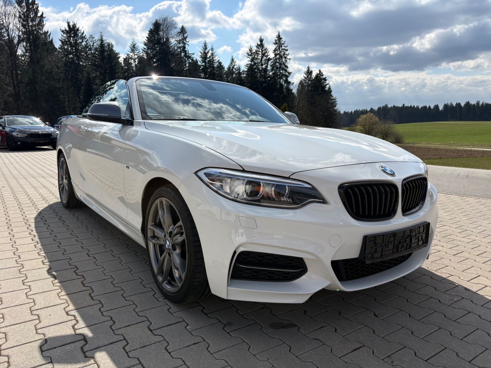 BMW M240i xDrive Cabrio Leder LRH NAVI ohne OPF AHK