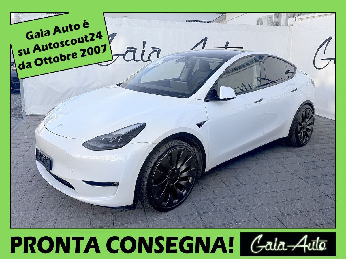 TESLA Model Y