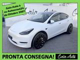 Tesla Model Y PERFORMANCE Dual Motor 533 CV AWD - Tesla Model Y: Kombi