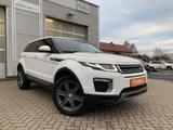 Land Rover Range Rover Evoque Si4 Leder+Navi+Sitzh+Xenon - Land Rover Gebrauchtwagen