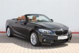 BMW 220d Cabrio M Sport harman kardon Keyless Kamera - Cabrios mit Unfallschaden