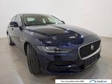 Jaguar XE 2.0 D200 S Aut. LED-Xenon Navi-Pro Leather K - Jaguar XE aus 2021