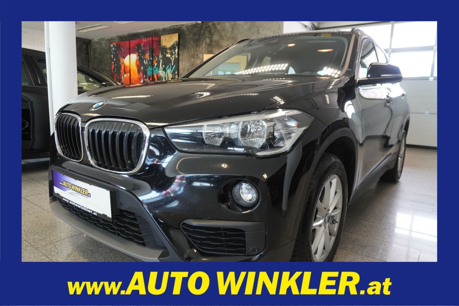 BMW X1 sDrive16d Advantage Navi/Kamera/Temp./Head-up