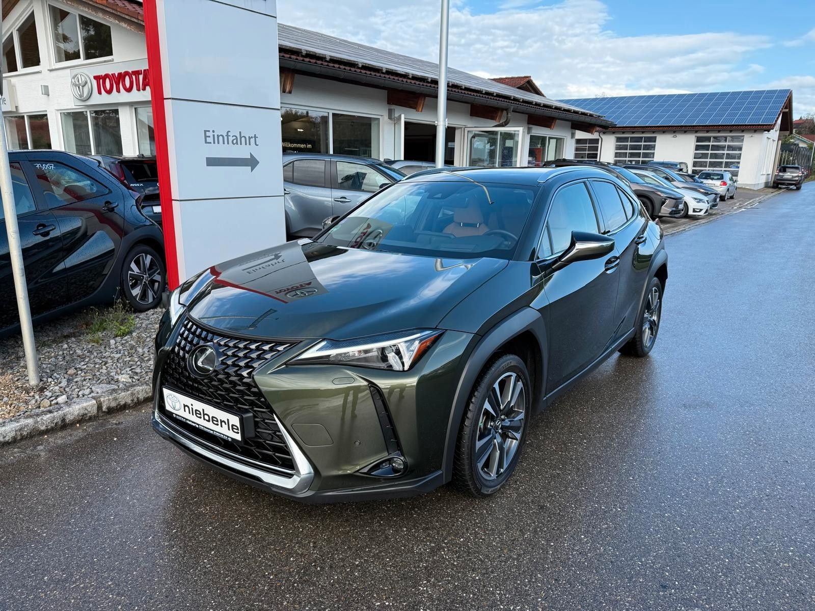 Lexus Lexus UX 250h Executive Line*Head-Up,Leder,LED,Kam