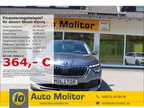 Skoda Kamiq Ambition 1.0 TSI EU6d LED DSG. Apple CarPl - Skoda Kamiq aus 2024