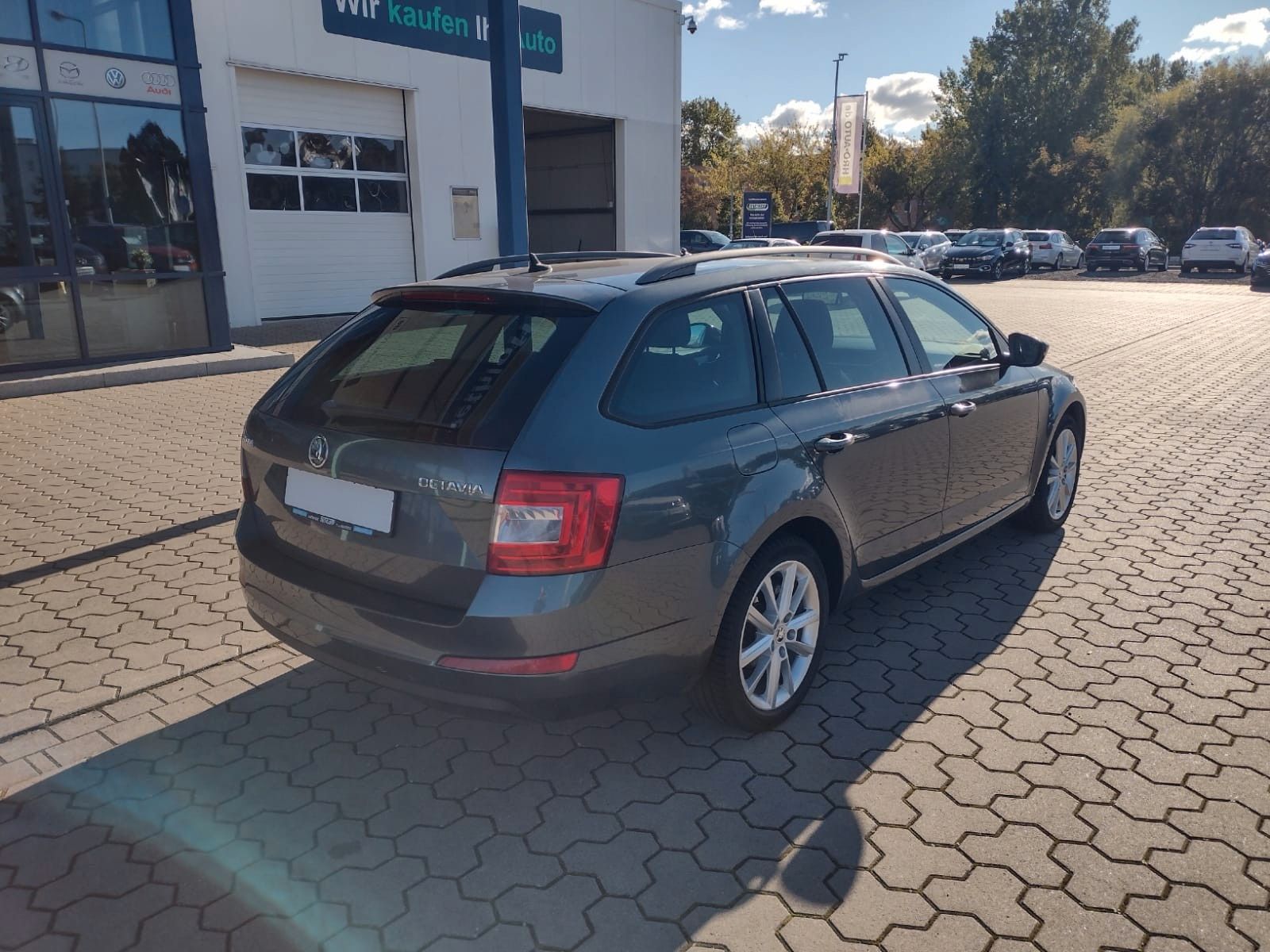 Skoda Octavia (07/2016, Diesel)