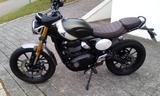 Triumph Scrambler 400 X mit neuem Service  - TRIUMPH SCRAMBLER 400 X