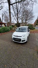 Fiat New Panda 1.2 8V EASY  - Fiat New Panda Benziner Gebrauchtwagen