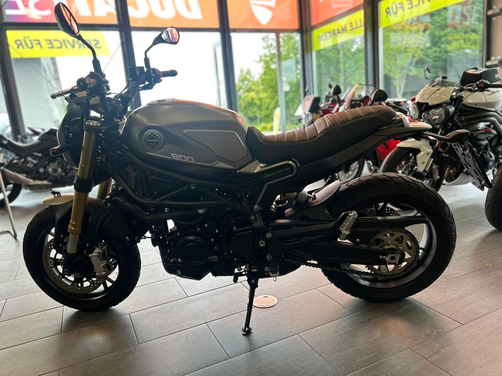 Benelli Leoncelli 800 *top Zustand