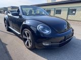 Volkswagen Beetle 2,0 TDI TÜV&Service+Xenon+Leder+17 Zoll - Volkswagen Beetle in Hamburg