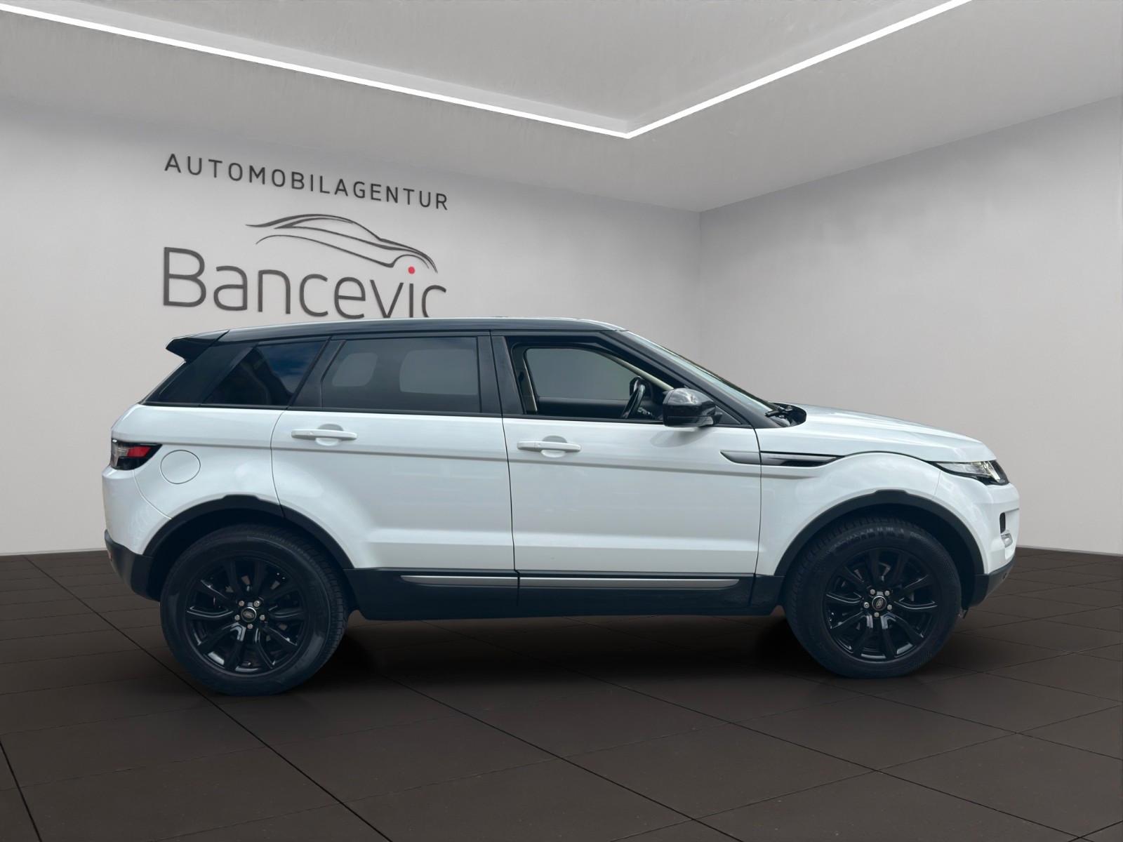 Land Rover Range Rover Evoque Pure*Technikpaket*Xenon*Leder