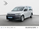 Volkswagen Caddy Maxi  2.0 TDI LR*LED*GRA*DAB+*EPH - weiße Volkswagen Caddy Maxi