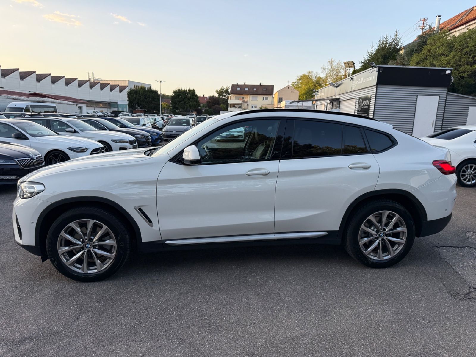 BMW X4 xDrive 20 d M-Sport Shadow Line Driving Assis foto 4