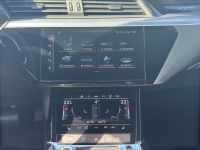 Audi e-tron - Vorschau Bild 10