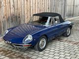 Alfa Romeo Spider 1750 Duetto, Rundheck, H-Nummer!!! - Alfa Romeo Spider Oldtimer