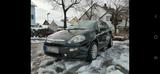 Fiat FIAT PUNTO 1.4 TÜV 01/2028 Zahnriemen neu ... - gebrauchte Fiat Punto aus dem Jahr 2009