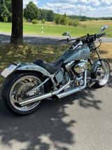 Harley-Davidson Softail Custom - Offers