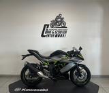 Kawasaki Ninja 125 Modell 2026 - SOFORT Verfügbar! - KAWASAKI V 12