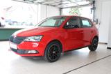 Skoda Fabia Monte Carlo Rückfahrkamera - Skoda Fabia: R