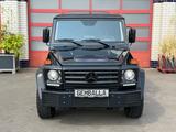 Mercedes-Benz G 350 D PROFESSIONAL,STAHL-STOSSSTANGE,SCHIEBE - Mercedes-Benz G-Klasse: Professional
