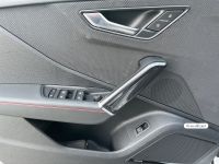 Audi SQ2 - Vorschau Bild 14