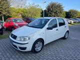 Fiat Punto 1.3 Multijet 16V 5 porte Dynamic Auto - Fiat Punto mit Diesel-Antrieb: Dynamic