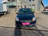 Ford Fiesta Fun X 1.4 80 PS Klimaanlage Allwetter - Ford Fiesta: Fun X